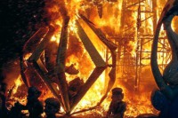 /album/alicante-en-hogueras/a1339683648-0-jpg/